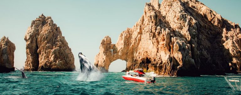 Paquete turístico: La Paz con Ballenas