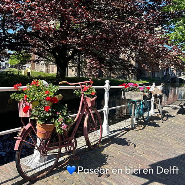 Pasear en bicicleta por Delft